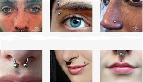 bodypiercing aesthetic|all body piercings with pictures.